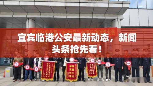 宜賓臨港公安最新動(dòng)態(tài)，新聞?lì)^條搶先看！