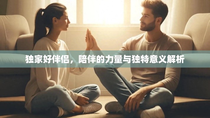 獨(dú)家好伴侶，陪伴的力量與獨(dú)特意義解析