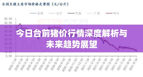 今日臺(tái)前豬價(jià)行情深度解析與未來趨勢展望