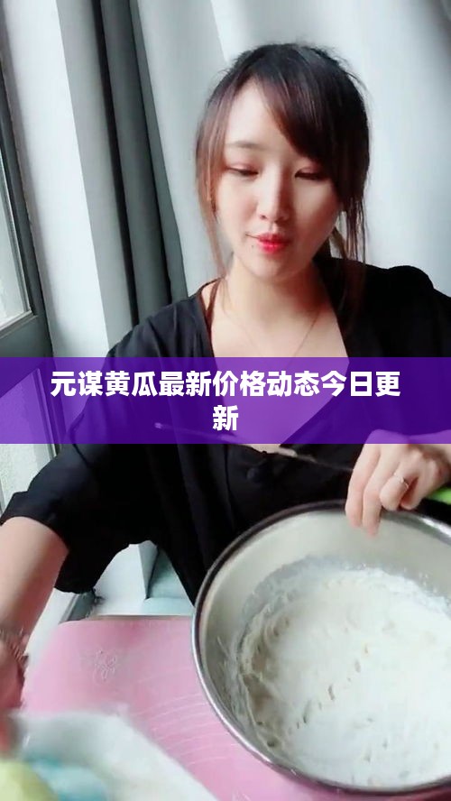元謀黃瓜最新價(jià)格動(dòng)態(tài)今日更新