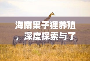海南果子貍養(yǎng)殖，深度探索與了解