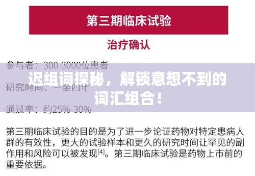 遲組詞探秘，解鎖意想不到的詞匯組合！