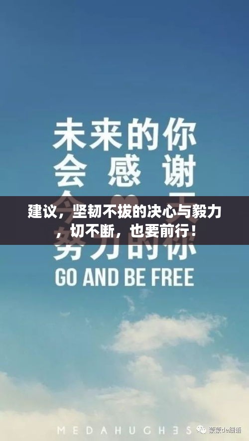 建議，堅(jiān)韌不拔的決心與毅力，切不斷，也要前行！