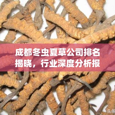 成都冬蟲(chóng)夏草公司排名揭曉，行業(yè)深度分析報(bào)告
