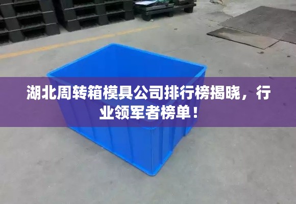 湖北周轉(zhuǎn)箱模具公司排行榜揭曉，行業(yè)領(lǐng)軍者榜單！