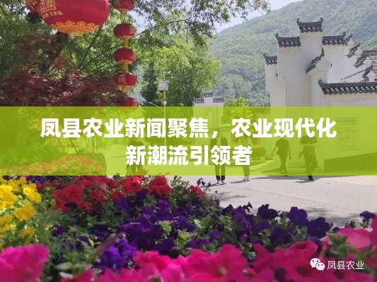 鳳縣農(nóng)業(yè)新聞聚焦，農(nóng)業(yè)現(xiàn)代化新潮流引領(lǐng)者