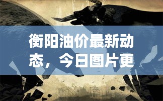 衡陽(yáng)油價(jià)最新動(dòng)態(tài)，今日?qǐng)D片更新及市場(chǎng)深度解析