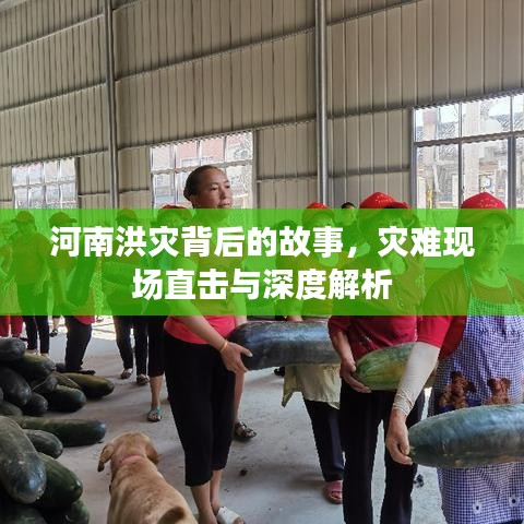 意氣風(fēng)發(fā)