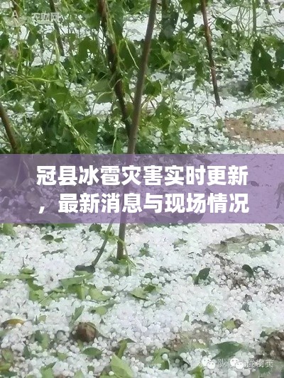 冠縣冰雹災(zāi)害實時更新，最新消息與現(xiàn)場情況