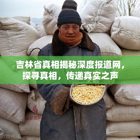 吉林省真相揭秘深度報(bào)道網(wǎng)，探尋真相，傳遞真實(shí)之聲