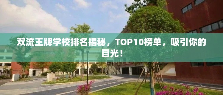 雙流王牌學(xué)校排名揭秘，TOP10榜單，吸引你的目光！