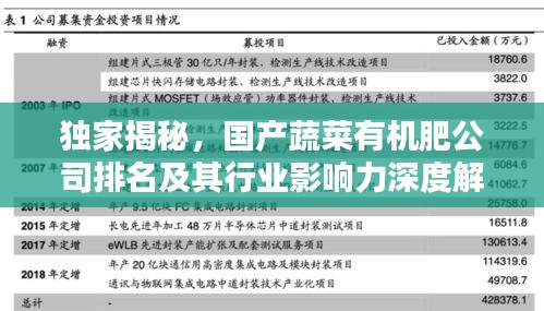 獨家揭秘，國產(chǎn)蔬菜有機肥公司排名及其行業(yè)影響力深度解析