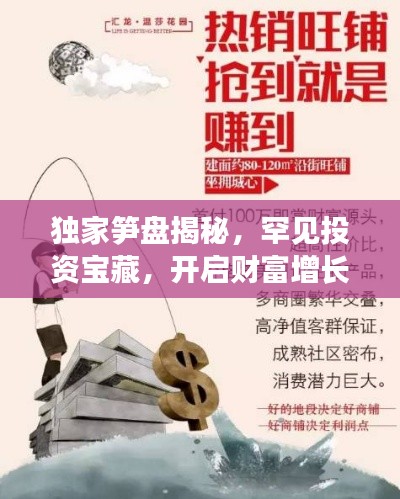 獨(dú)家筍盤揭秘，罕見投資寶藏，開啟財(cái)富增長新篇章