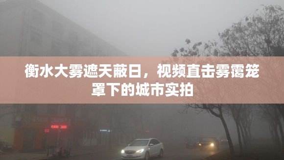 衡水大霧遮天蔽日，視頻直擊霧靄籠罩下的城市實拍