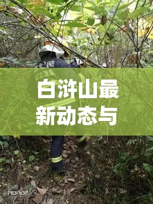 白滸山最新動態(tài)與區(qū)域發(fā)展速遞