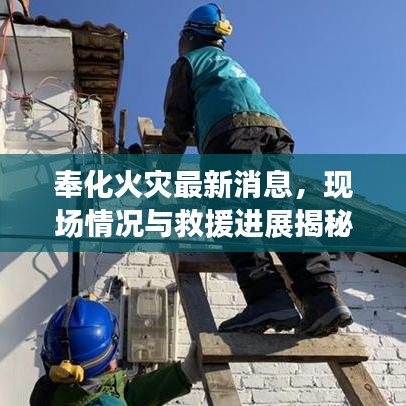 奉化火災(zāi)最新消息，現(xiàn)場(chǎng)情況與救援進(jìn)展揭秘