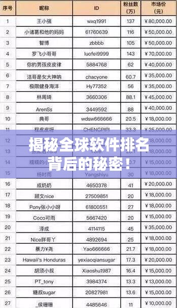 揭秘全球軟件排名背后的秘密！