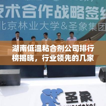 湖南低溫粘合劑公司排行榜揭曉，行業(yè)領(lǐng)先的幾家企業(yè)