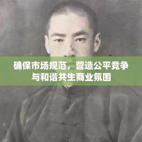 確保市場規(guī)范，營造公平競爭與和諧共生商業(yè)氛圍