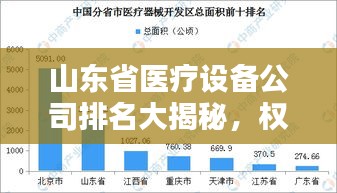 山東省醫(yī)療設(shè)備公司排名大揭秘，權(quán)威榜單，不容錯(cuò)過！