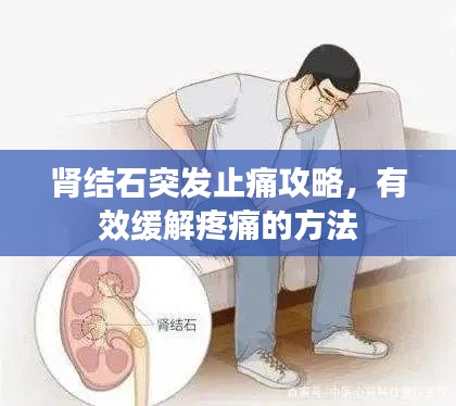 腎結石突發(fā)止痛攻略，有效緩解疼痛的方法