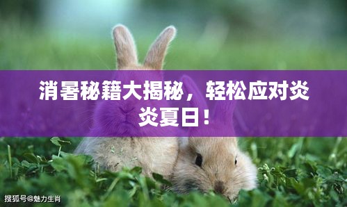 消暑秘籍大揭秘，輕松應對炎炎夏日！