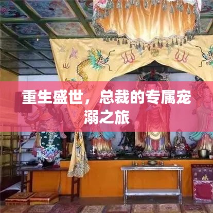 重生盛世，總裁的專屬寵溺之旅