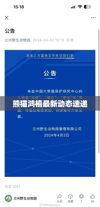 熊貓鴻禧最新動態(tài)速遞