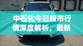 中石化今日股市行情深度解析，最新動態(tài)，一覽無遺