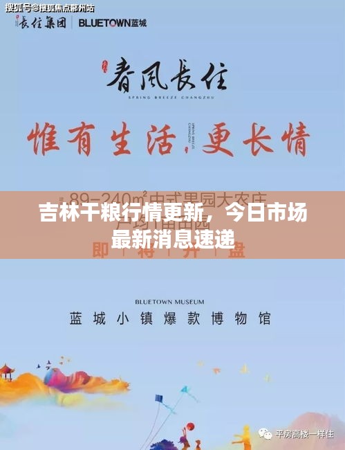 吉林干糧行情更新，今日市場最新消息速遞
