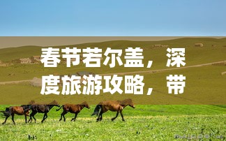 春節(jié)若爾蓋，深度旅游攻略，帶你玩轉(zhuǎn)草原風(fēng)情！