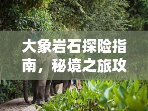 大象巖石探險指南，秘境之旅攻略