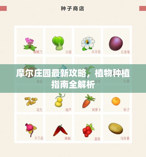 摩爾莊園最新攻略，植物種植指南全解析
