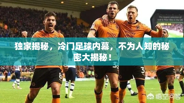 獨家揭秘，冷門足球內幕，不為人知的秘密大揭秘！