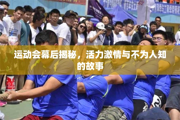 運動會幕后揭秘，活力激情與不為人知的故事