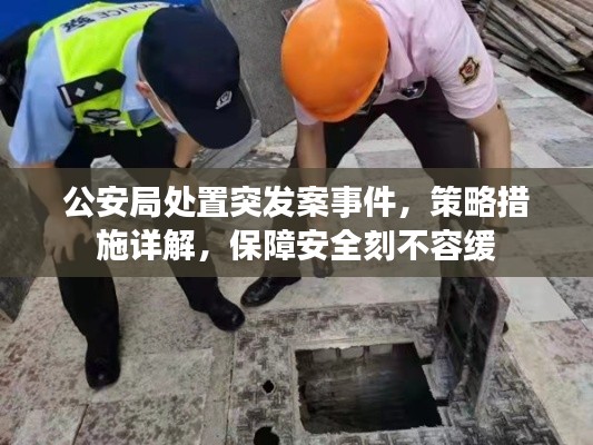 公安局處置突發(fā)案事件，策略措施詳解，保障安全刻不容緩