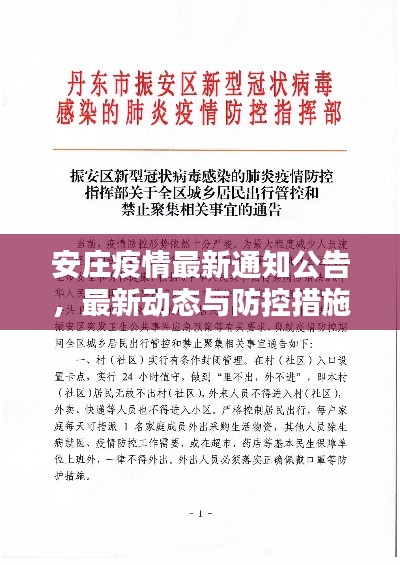安莊疫情最新通知公告，最新動(dòng)態(tài)與防控措施更新