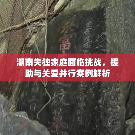 湖南失獨家庭面臨挑戰(zhàn)，援助與關愛并行案例解析