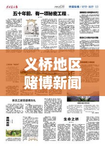 義橋地區(qū)賭博新聞揭秘，最新報(bào)道消息全掌握