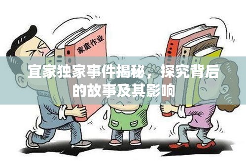宜家獨(dú)家事件揭秘，探究背后的故事及其影響