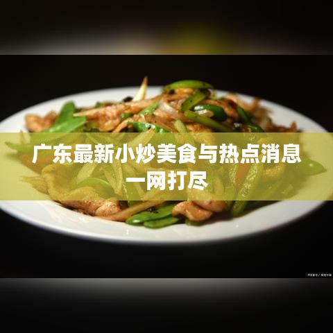 2025年3月 第6頁
