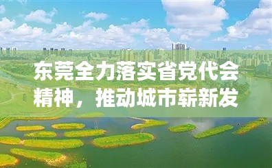 東莞全力落實(shí)省黨代會(huì)精神，推動(dòng)城市嶄新發(fā)展篇章