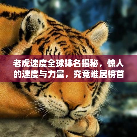 老虎速度全球排名揭秘，驚人的速度與力量，究竟誰(shuí)居榜首？