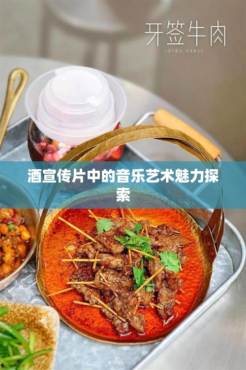 酒宣傳片中的音樂(lè)藝術(shù)魅力探索