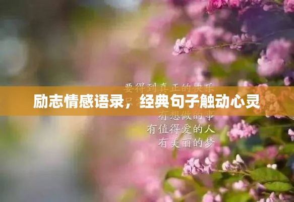 勵志情感語錄，經(jīng)典句子觸動心靈