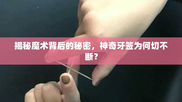 揭秘魔術(shù)背后的秘密，神奇牙簽為何切不斷？