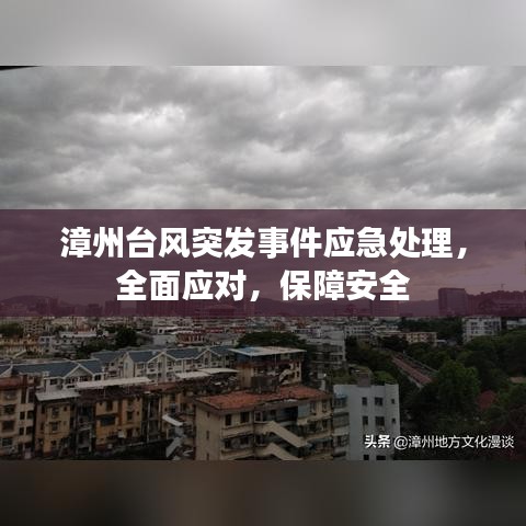 漳州臺風突發(fā)事件應(yīng)急處理，全面應(yīng)對，保障安全