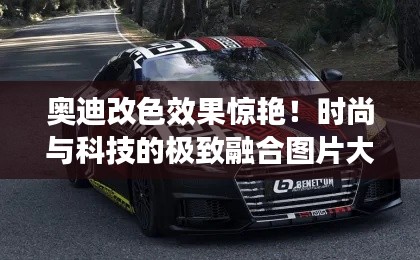 奧迪改色效果驚艷！時(shí)尚與科技的極致融合圖片大全欣賞