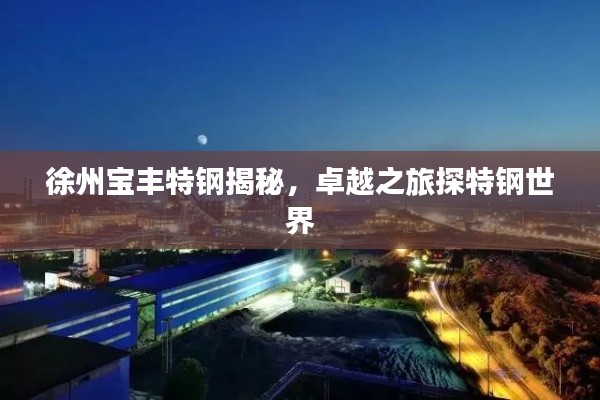 徐州寶豐特鋼揭秘，卓越之旅探特鋼世界