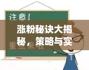 漲粉秘訣大揭秘，策略與實(shí)踐，輕松吸引關(guān)注者增長！